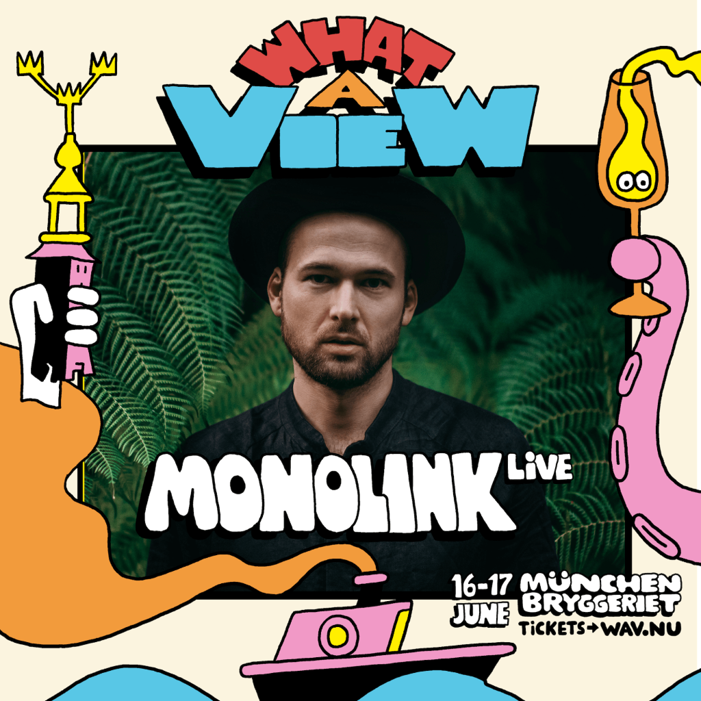 WHAT A VIEW: Monolink (live)